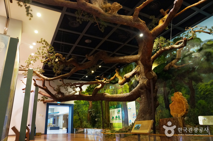 대전 여행코스 대전의 즐거운 공부나들이 코스
