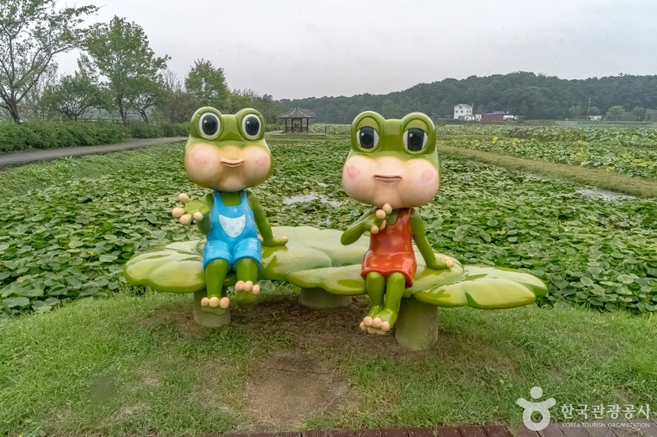 내동마을 연꽃단지