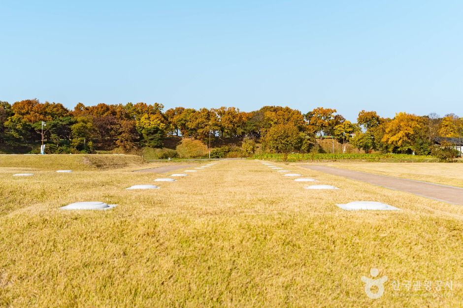 경북 가볼만한 곳 경주 인왕동 사지