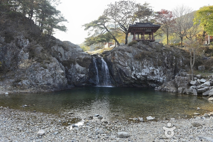 시간 걸려도 괜찮아, 느림보 산책