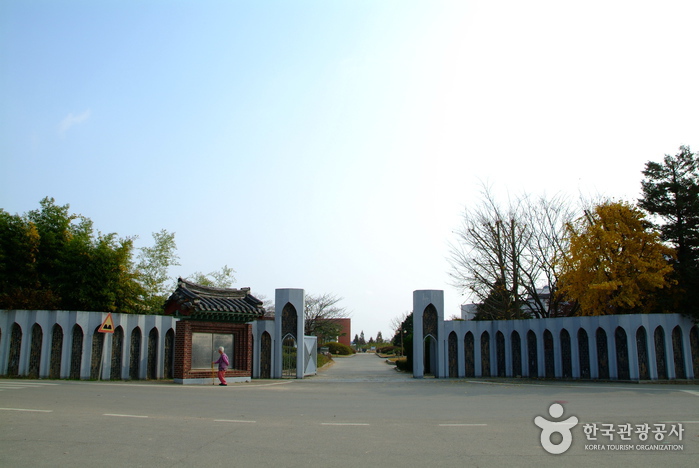 충남 여행코스 인생샷 남기고 추억 남기고