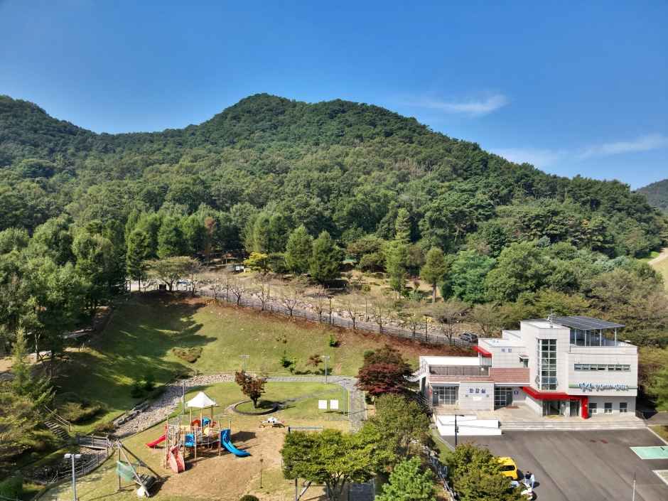 덕산국민여가캠핑장