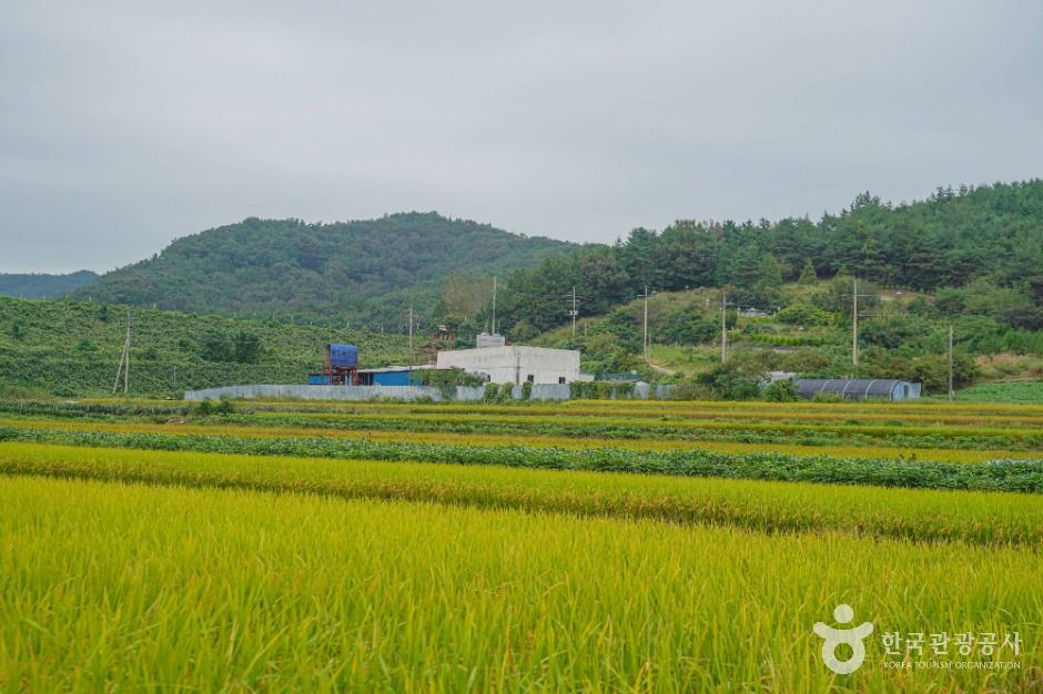 월선체험 휴양마을
