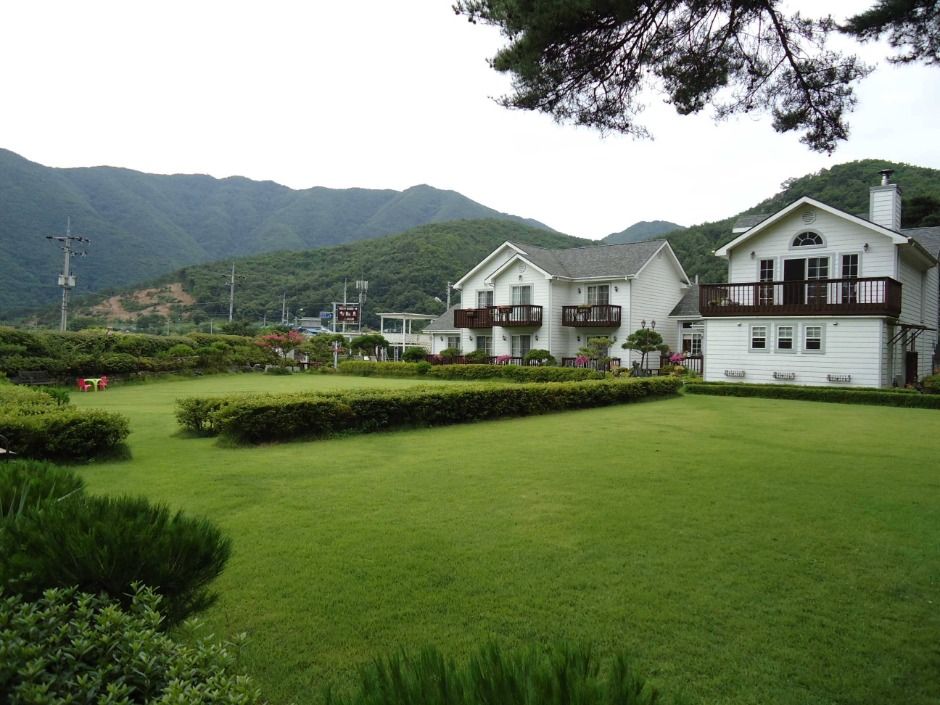 경북 숙소 강이있는풍경펜션
