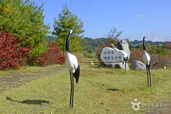 연천, ‘철새와 겨울나기’ 힐링 여행