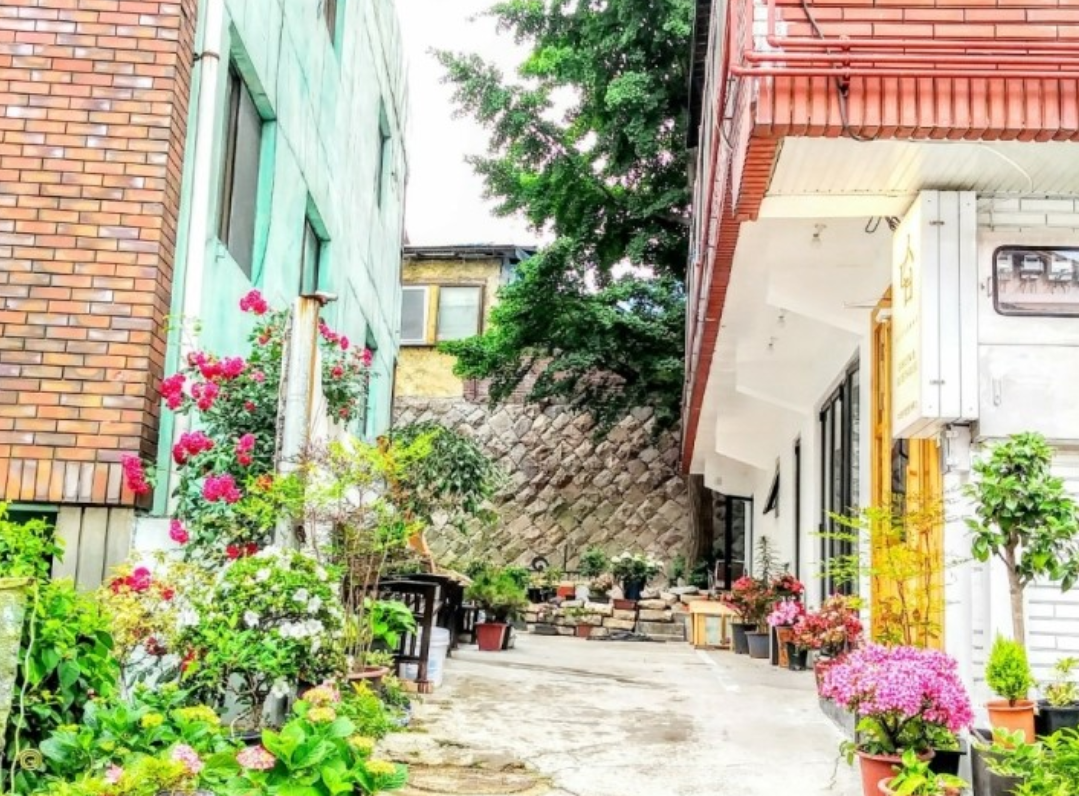 전남 숙소 (주)수다방 게스트하우스(목포게스트하우스수다방)