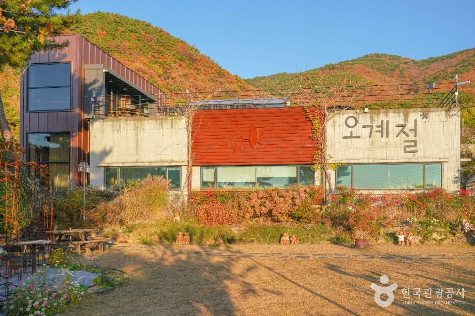 오계절