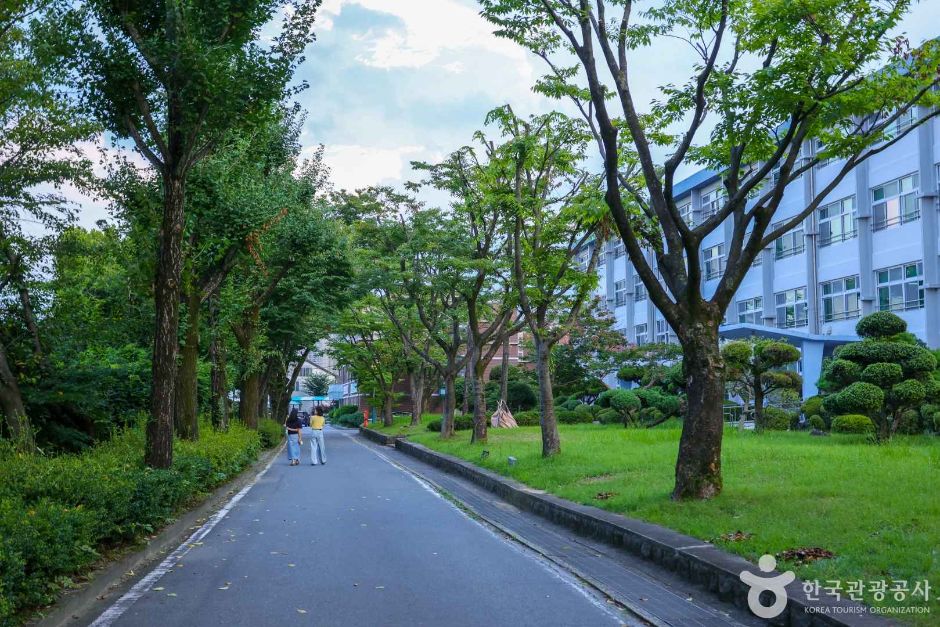 광주 문화시설 수피아여자중고등학교