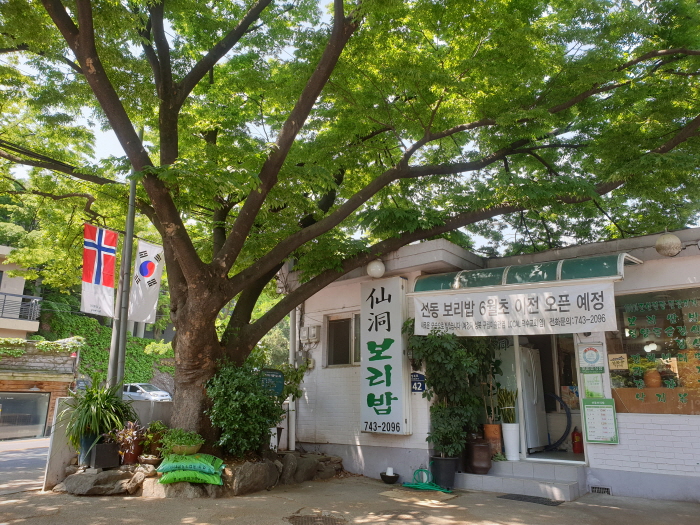 선동보리밥