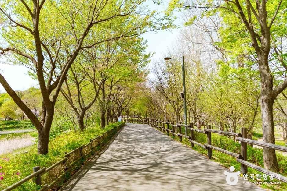 [양천구 둘레길] 도심형코스