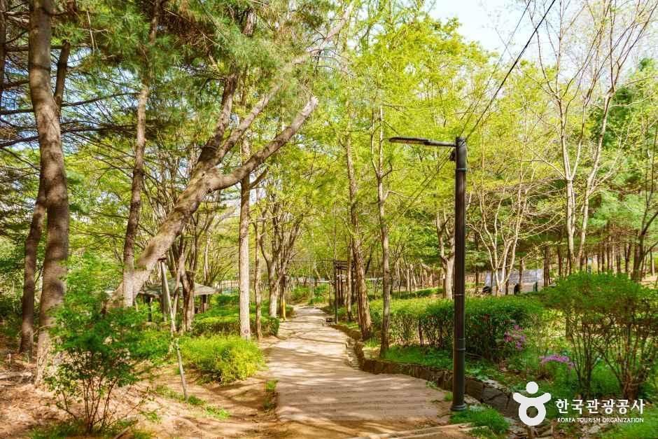 [양천구 둘레길] 산림형코스