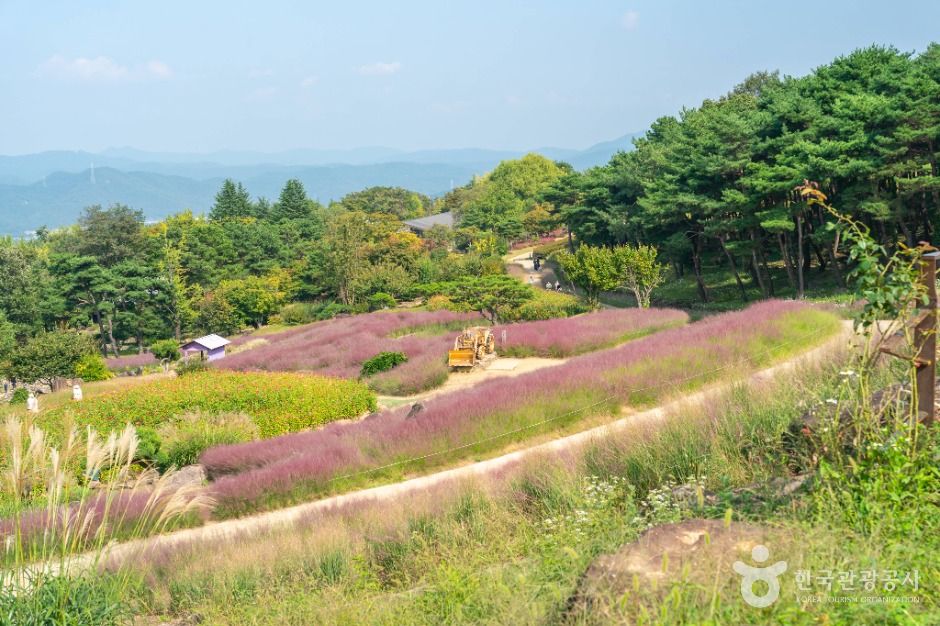 경북 가볼만한 곳 가산수피아