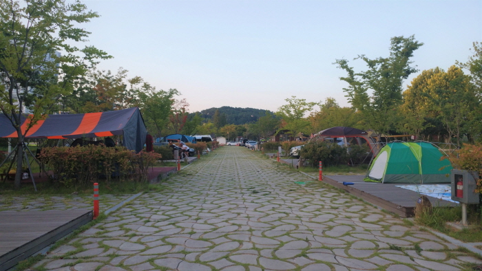 광주 레포츠 시민의 숲 야영장