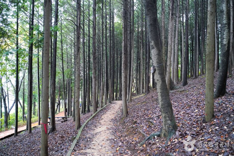 땅뫼산