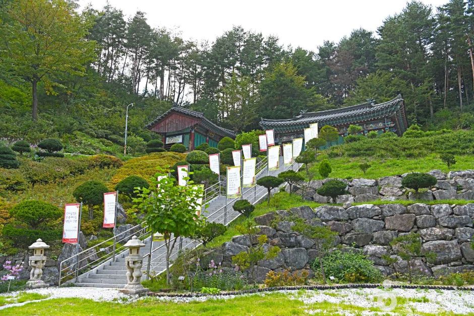 심원사(태백)