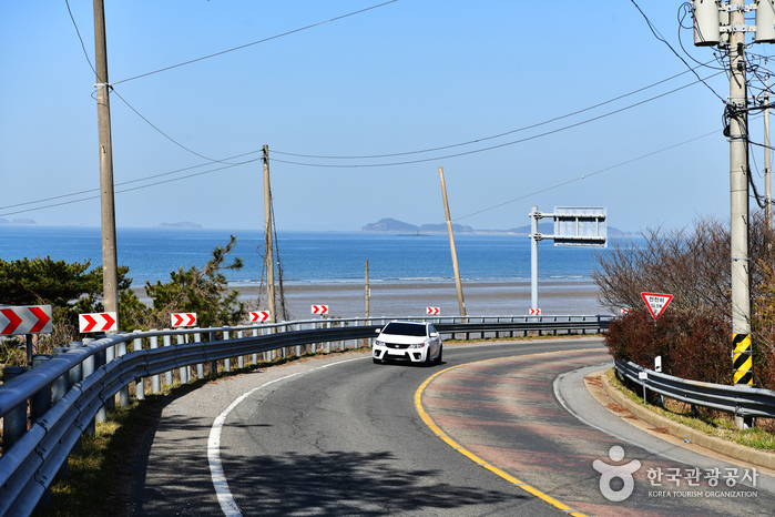 안면도해안도로, 환상의 바다 낙조길 활짝 열리다!