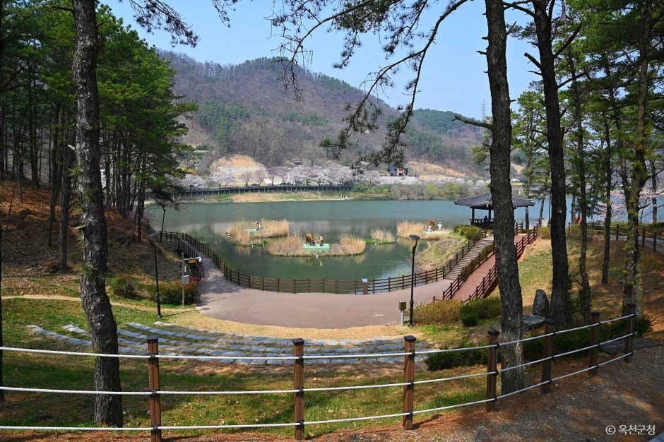 교동저수지(교동생태습지)