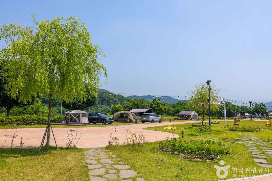대구 레포츠 금호강 오토캠핑장