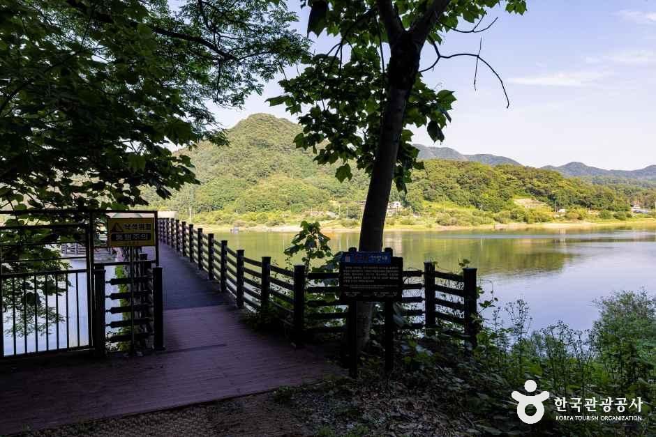 향수호수길