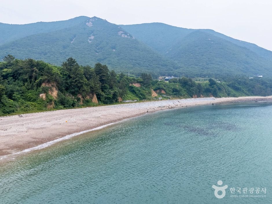 전남 가볼만한 곳 금장해수욕장