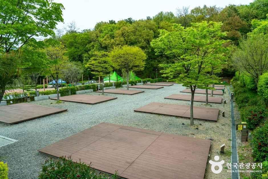 초막골생태공원느티나무야영장