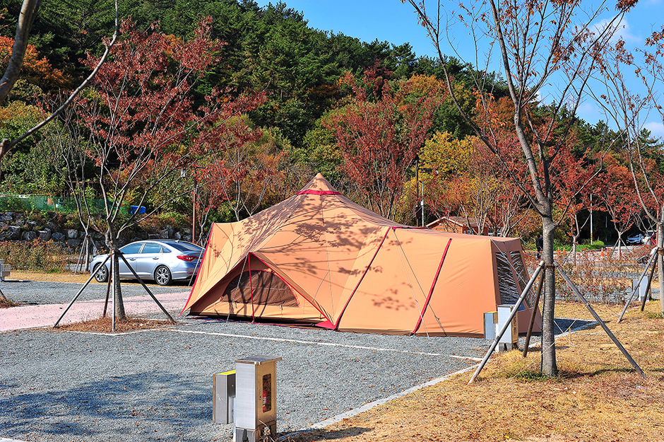 울산 레포츠 태화연오토캠핑장