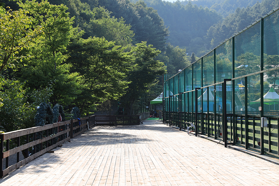 예담숲캠핑장
