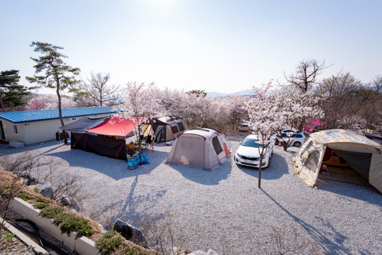 비봉산캠핑장