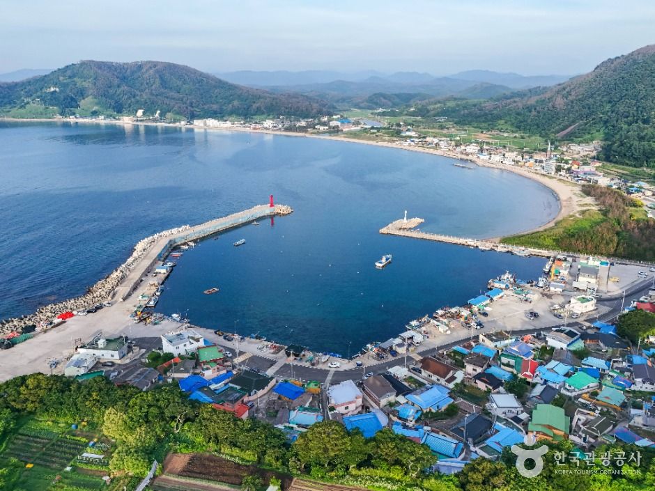모포항