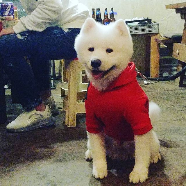 모노캠프