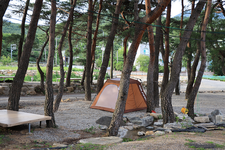 울산 레포츠 울산시 힐링캠프