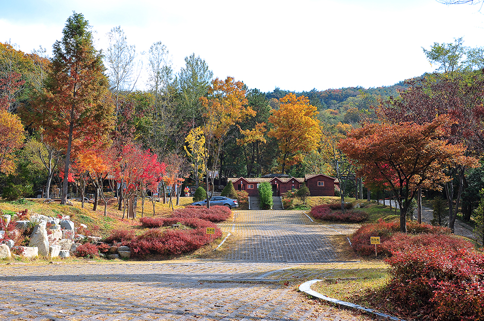 울산 레포츠 입화산참살이숲제2오토캠핑장