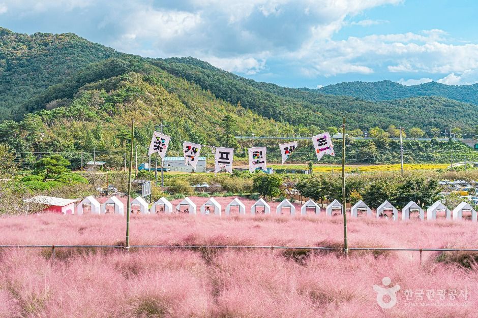 전북 가볼만한 곳 꽃객프로젝트