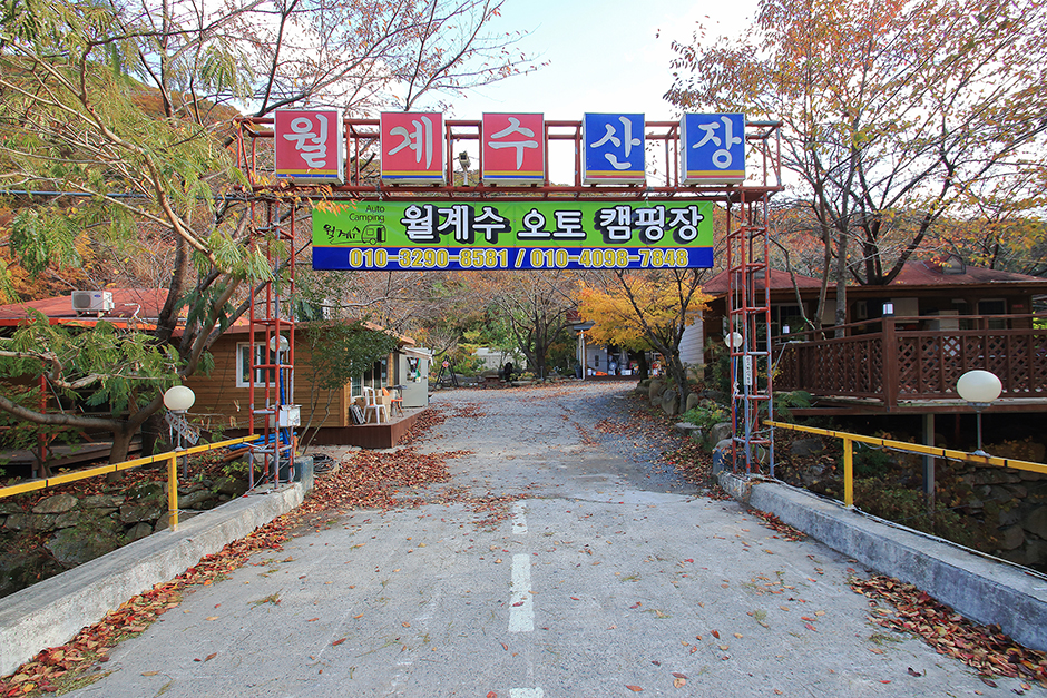 월계수 캠핑장