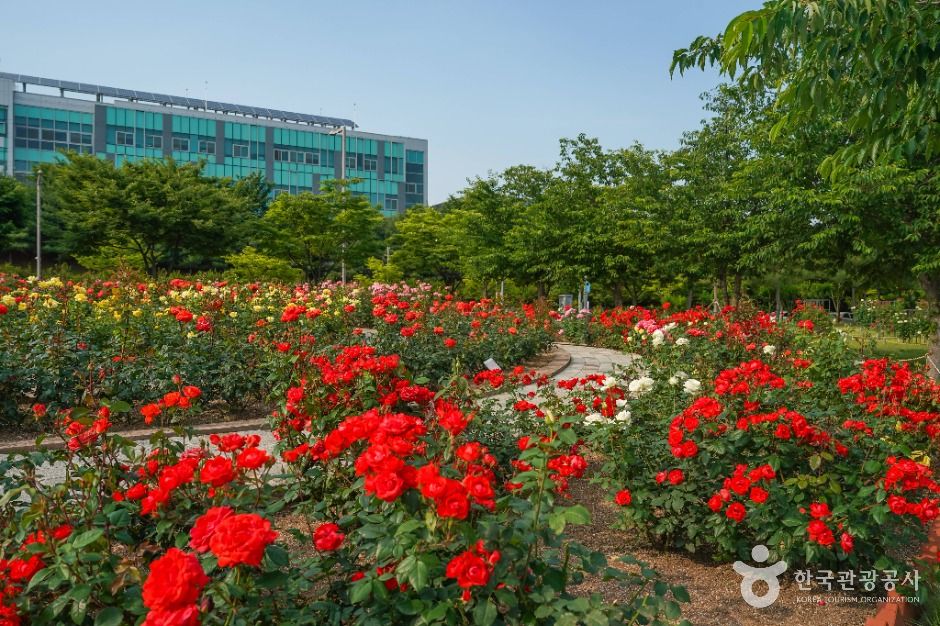 신서 중앙공원