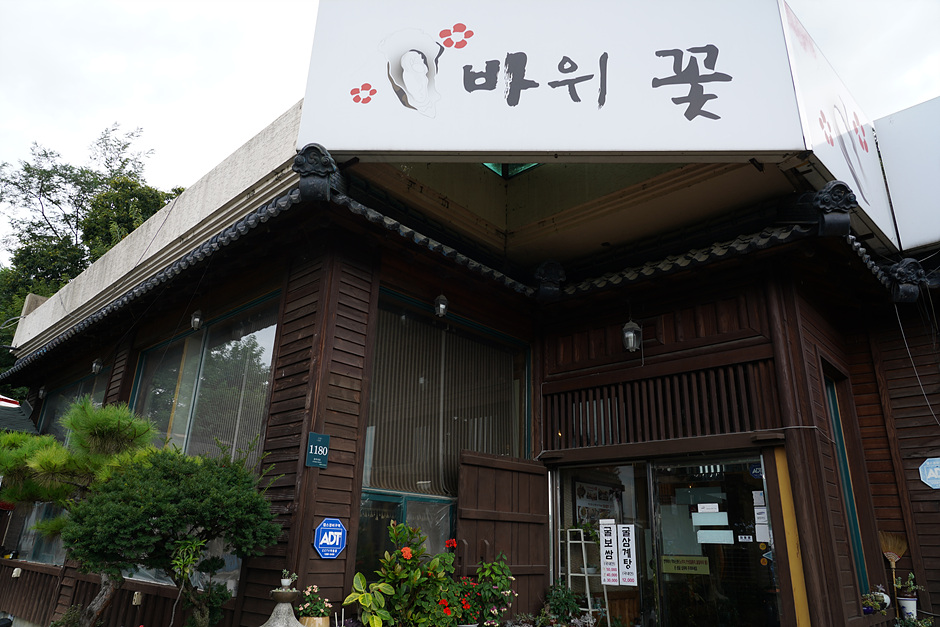 바위꽃