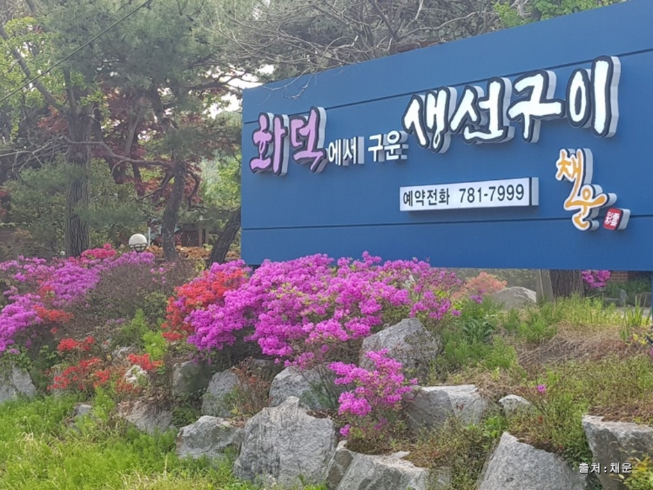 채운