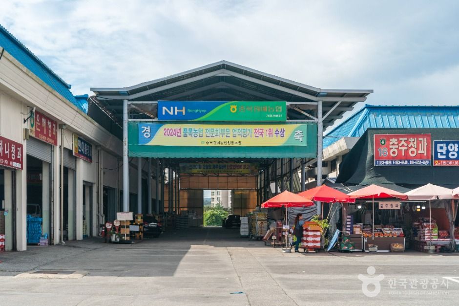 충북 쇼핑 명소 충주농수산물도매시장