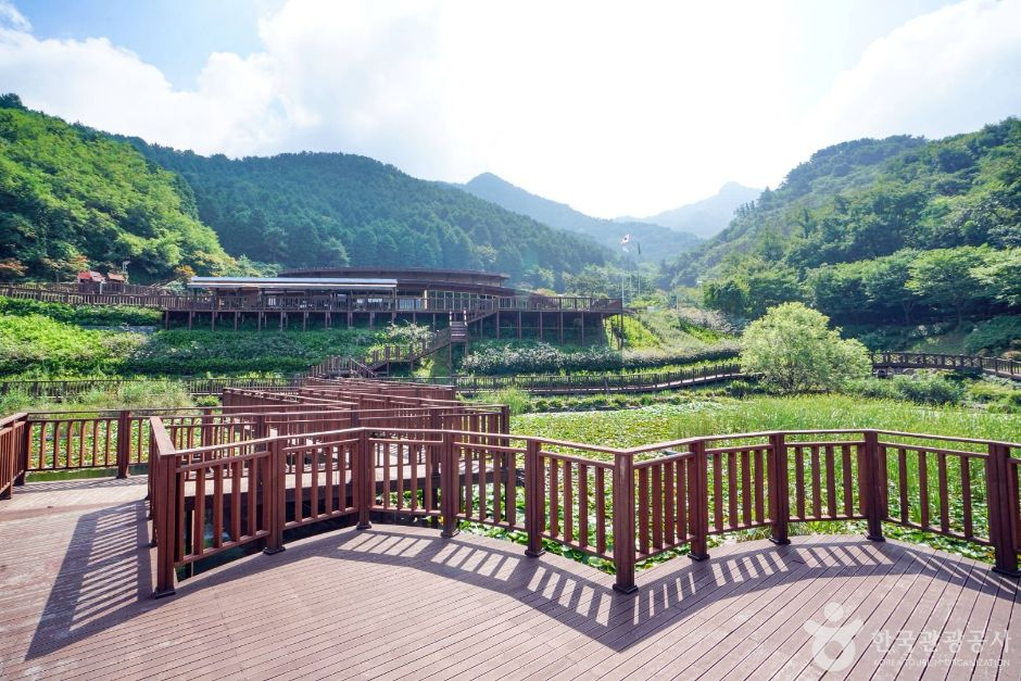 전국 가볼만한 곳 진해드림파크