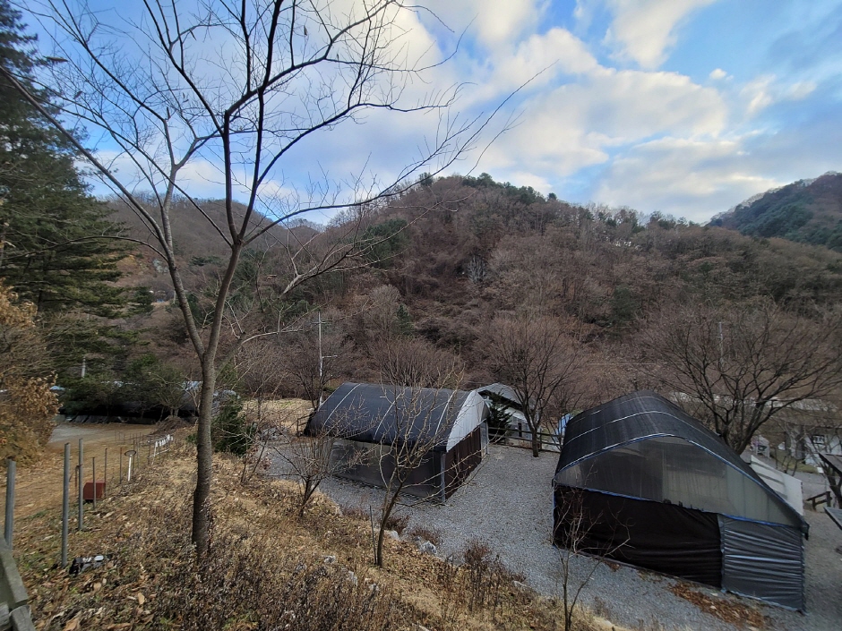 별드림캠핑장