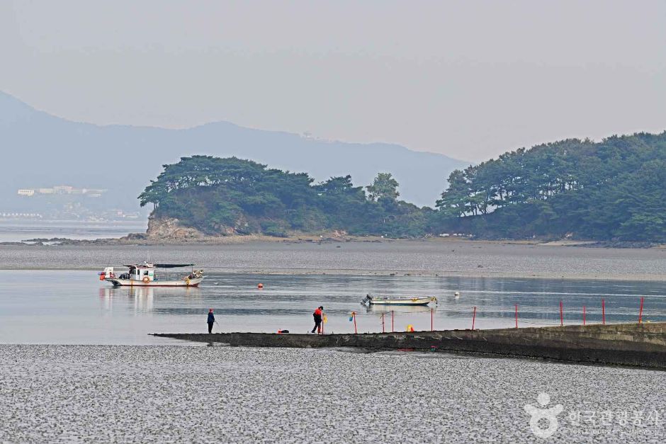 인천 가볼만한 곳 예단포선착장