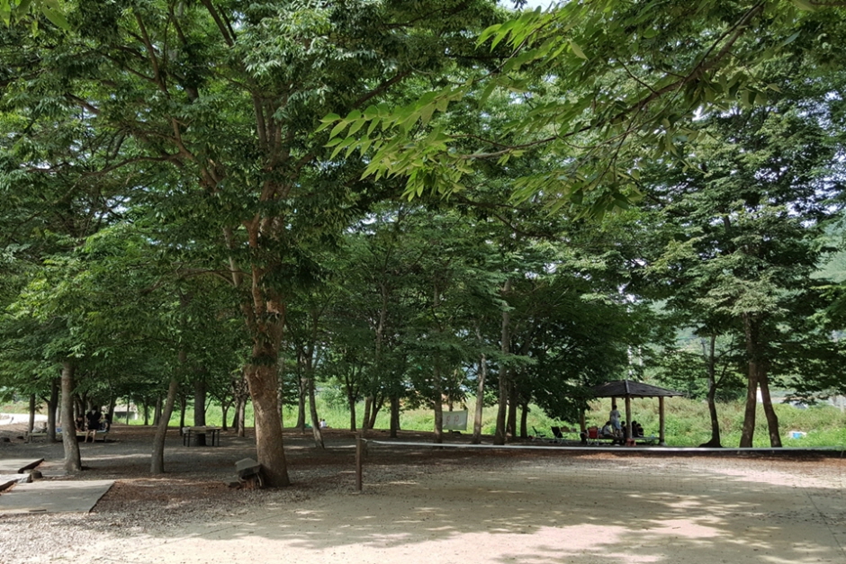 대덕숲유원지