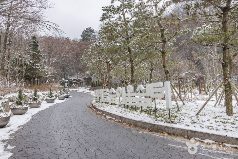 빨래골