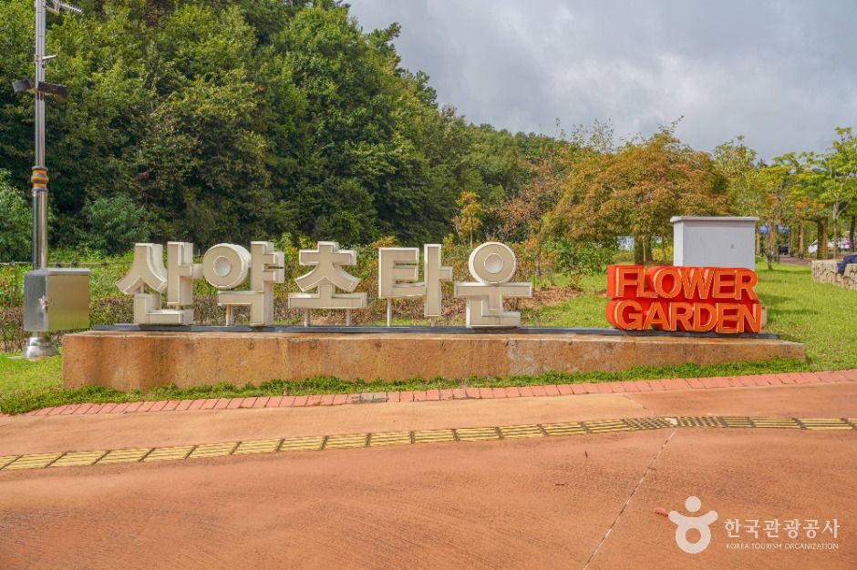 산약초타운