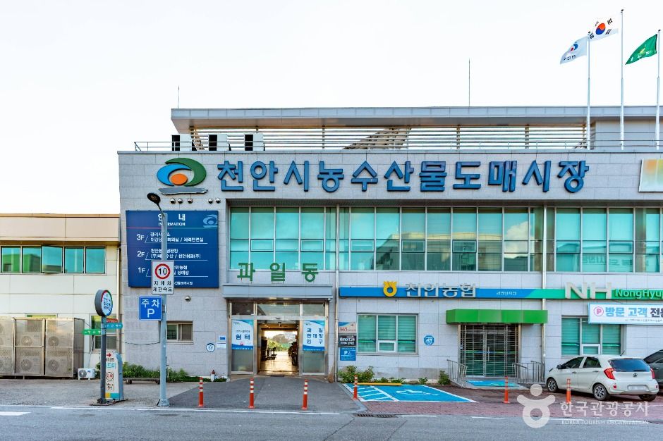 충남 쇼핑 명소 천안시농수산물도매시장