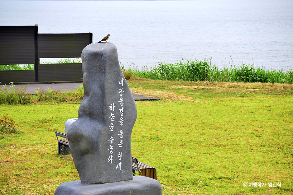 충남 가볼만한 곳 금강하구 철새도래지 (서천)