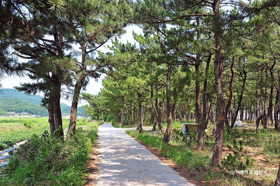 [해파랑길] 48코스