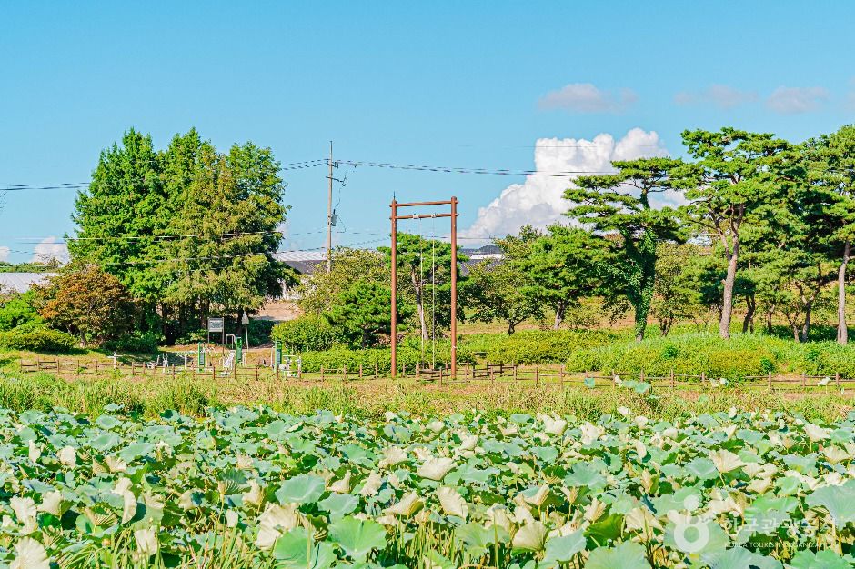 달맞이공원
