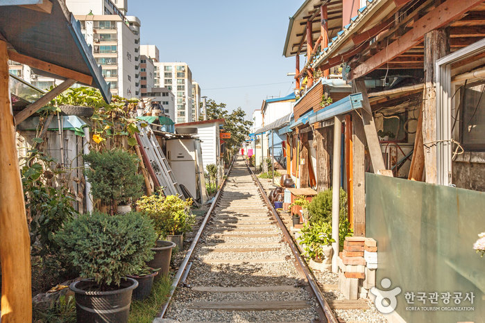 전북 여행코스 시간을 건너 군산에 빠지다
