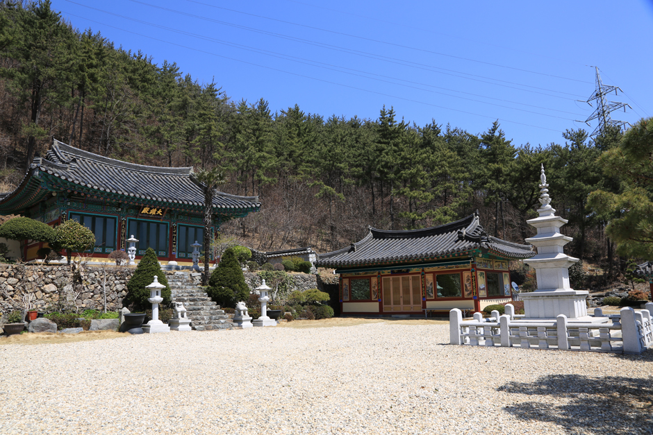금정사
